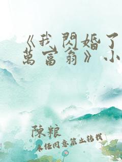 《我闪婚了个亿万富翁》小说