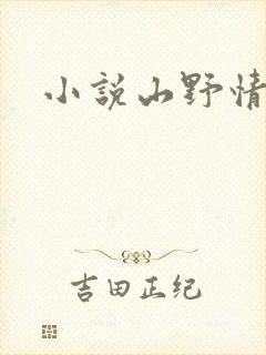 小说山野情债