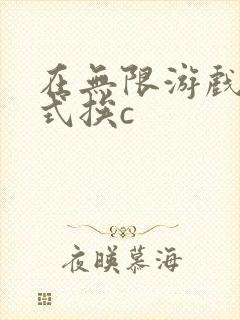 在无限游戏里花式挨c