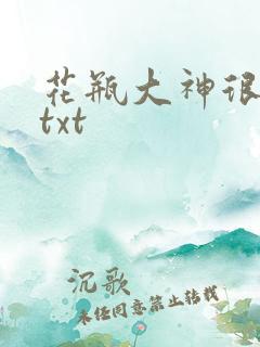 花瓶大神很菜鸟txt
