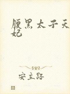 腹黑太子天降萌妃