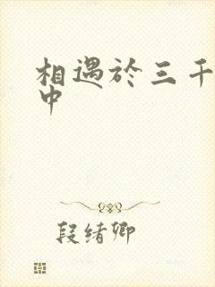 相遇于三千肉文中