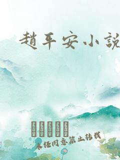 赵平安小说主角