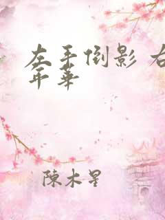 左手倒影 右手年华