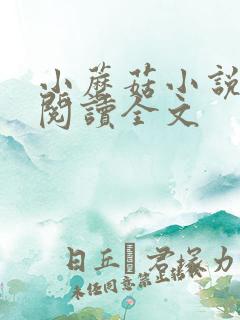 小蘑菇小说免费阅读全文