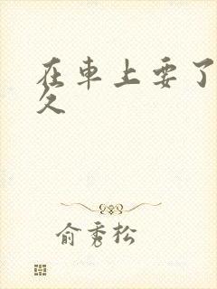 在车上要了我很久