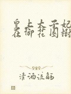 皇上太子妃沈音在御花园树上