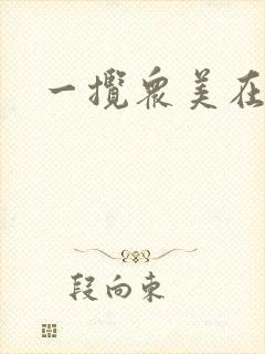 一揽众美在三国