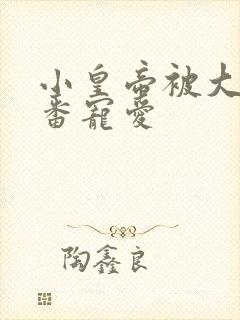 小皇帝被大臣轮番宠爱