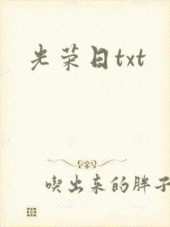 光荣日txt