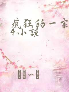 疯狂的一家ps4小说