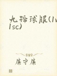 九号球服(1v1sc)