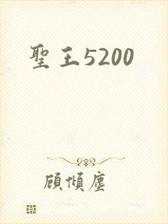 圣王5200