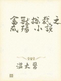 禽兽总裁之虐爱成殇 小说