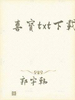 喜宝txt下载