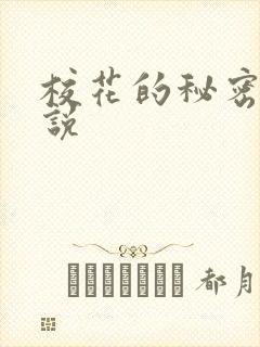 校花的秘密 小说