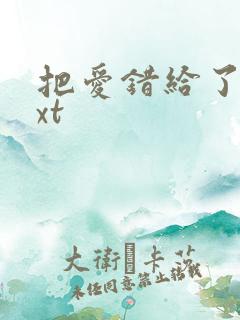 把爱错给了你txt