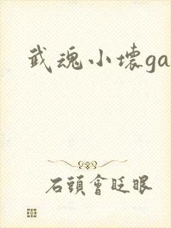 武魂小坏ga