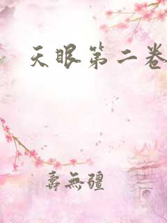 天眼第二卷