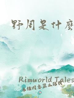 野周是什么意思