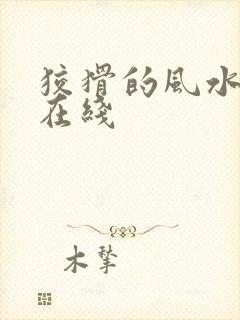 狡猾的风水相师在线