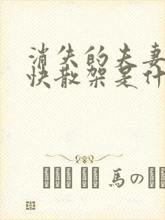 消失的夫妻女主快散架是什么意思