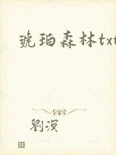 琥珀森林txt