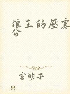 狼王的压寨小相公