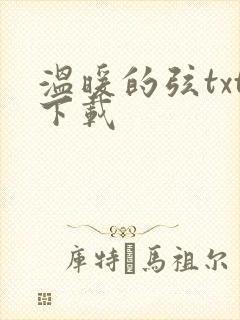 温暖的弦txt下载