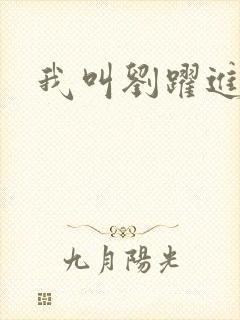 我叫刘跃进下载