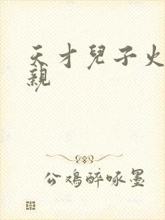 天才儿子火爆娘亲