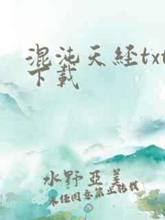 混沌天经txt下载