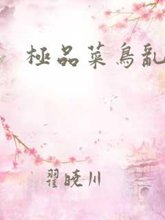 极品菜鸟乱江湖