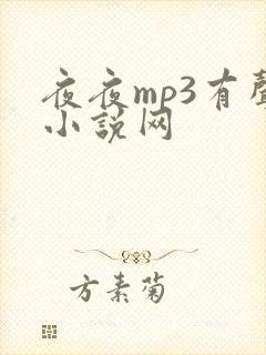 夜夜mp3有声小说网
