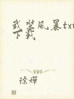 武装风暴txt下载