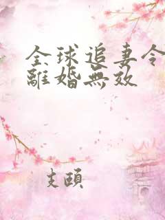 全球追妻令老婆离婚无效