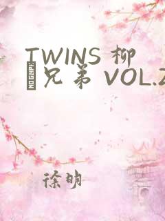 TWINS 柳澤兄弟 VOL.2