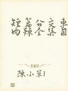 短篇公交车高h肉辣全集目录