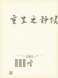 重生之静候锦年