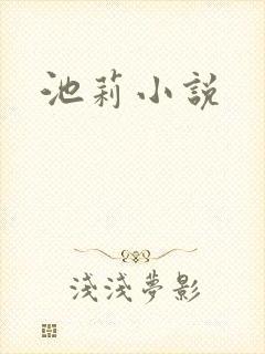 池莉小说