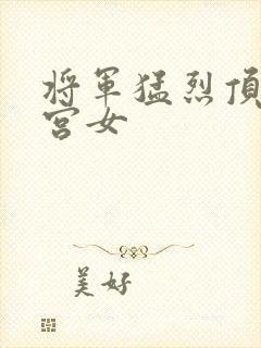 将军猛烈顶弄h宫女