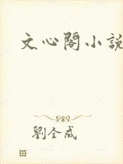 文心阁小说