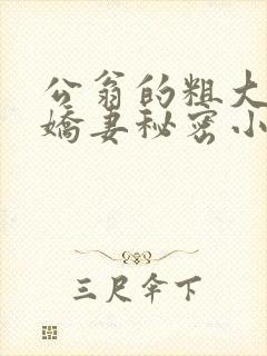 公翁的粗大放进娇妻秘密小说