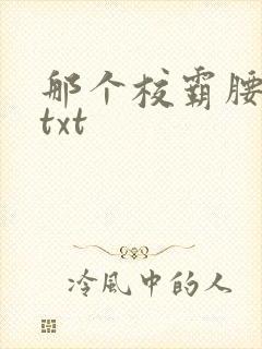 那个校霸腰好软txt