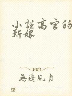 小说高官的暗夜新娘