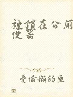 被锁在公厕当坐便器