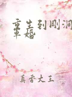 重生到刚洞房的军婚