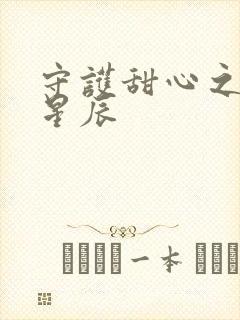 守护甜心之暗夜星辰