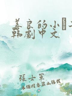 善良的小峓子2韩剧中文