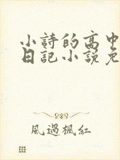 小诗的高中成长日记小说免费阅读